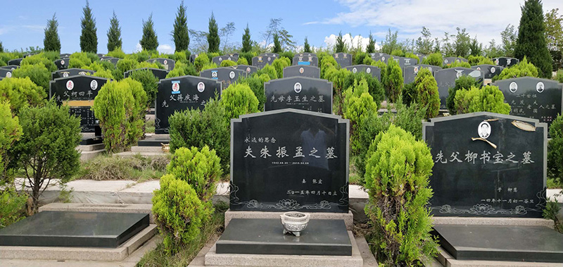 陵园环境
